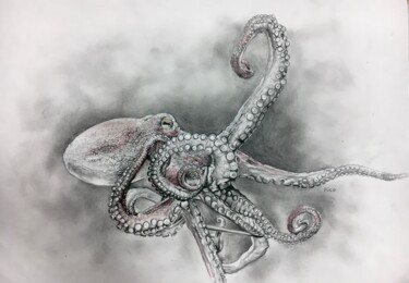 Drawing titled "Pieuvre scorpion gr…" by Eric Leroy (Rico), Original Artwork, Graphite