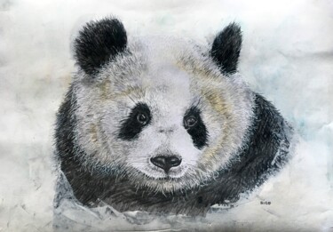 Disegno intitolato "Panda - graphite -…" da Eric Leroy (Rico), Opera d'arte originale, Grafite