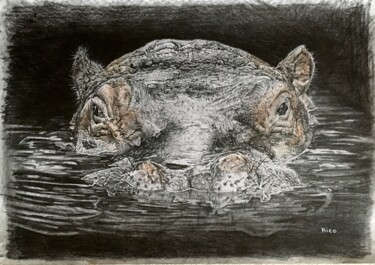 Tekening getiteld "Hippopotame#1" door Eric Leroy (Rico), Origineel Kunstwerk, Potlood
