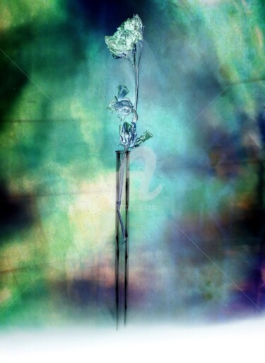 Photographie intitulée "Fleur sur Fond" par Eric Pelletier, Œuvre d'art originale, Photographie numérique