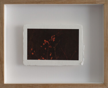 Photography titled "0x30771501 [a.m.o.u…" by Éric Petr, Original Artwork, Non Manipulated Photography Mounted on Wood Panel