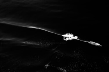 Photography titled "Danse avec l'eau 0x…" by Éric Petr, Original Artwork, Non Manipulated Photography