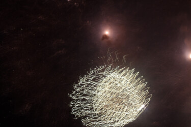Photographie intitulée "Fleurs de Lumière 0…" par Éric Petr, Œuvre d'art originale, Photographie non manipulée