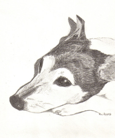 Peinture intitulée "chien-090826-0829-f…" par Eric Picard, Œuvre d'art originale