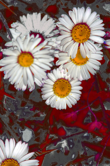 Photography titled "Metallised daisies" by Eric Régimbeau, Original Artwork, Digital Photography