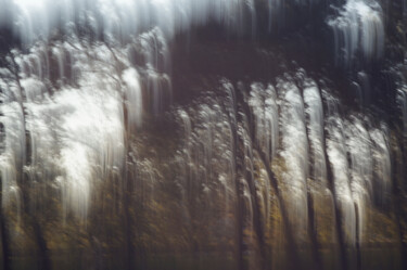 Fotografie getiteld "Explosive pines" door Eric Régimbeau, Origineel Kunstwerk, Anders