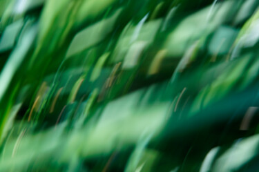 Фотография под названием "Faceted grass" - Eric Régimbeau, Подлинное произведение искусства, Другой