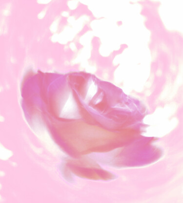 Fotografie mit dem Titel "Rose on pink" von Eric Régimbeau, Original-Kunstwerk, Manipulierte Fotografie