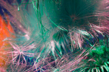 Photographie intitulée "Macro fireworks I" par Eric Régimbeau, Œuvre d'art originale, Photographie numérique