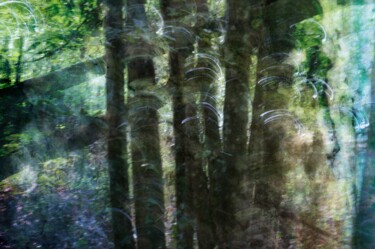 Photography titled "Blue forest I" by Eric Régimbeau, Original Artwork, Digital Photography