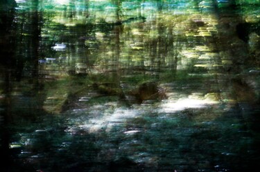 Fotografie mit dem Titel "Blue forest II" von Eric Régimbeau, Original-Kunstwerk, Digitale Fotografie