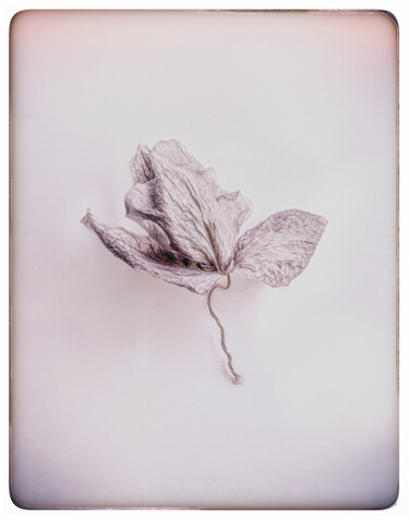 Fotografia intitulada "Eden | 12" por Eric Scibor-Rylski, Obras de arte originais, Fotografia digital
