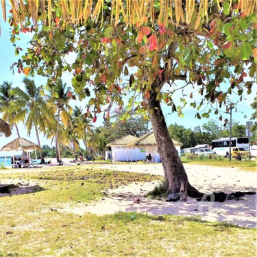 Fotografia zatytułowany „Plage de Grand-Bourg” autorstwa Eric Serafini-Dupont, Oryginalna praca, Fotografia cyfrowa