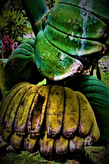 Photographie intitulée "Bananes Cyclopes" par Eric Serafini-Dupont, Œuvre d'art originale, Photographie numérique