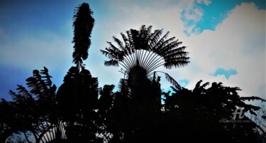 Photography titled "Paysage Tropical PF…" by Eric Serafini-Dupont, Original Artwork, Digital Photography