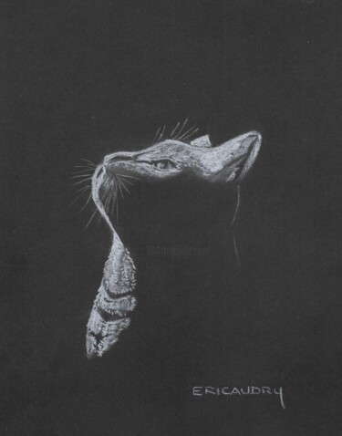 Рисунок под названием "Le chat" - Eric Audry, Подлинное произведение искусства, Мел