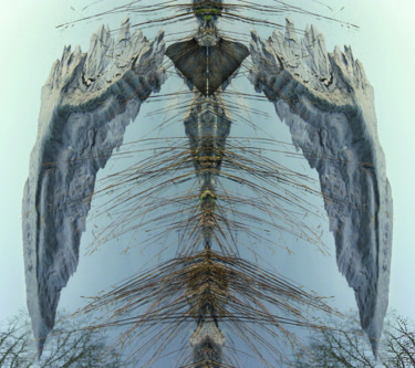 Arts numériques intitulée "ange en vase baie d…" par Eric Despretz, Œuvre d'art originale, Photo montage