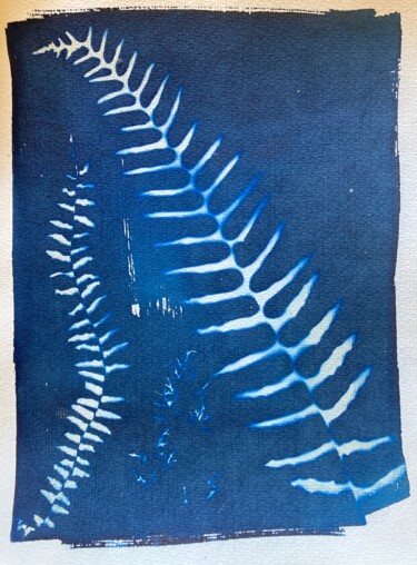 Fotografía titulada "cyanotype de fougèr…" por Erick Philippe (eikioo), Obra de arte original, Fotografía no manipulada