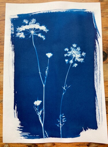 Fotografie mit dem Titel "cyanotype fleur d'o…" von Erick Philippe (eikioo), Original-Kunstwerk, Nicht bearbeitete Fotografie