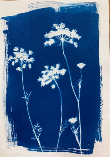 Photography titled "cyanotype fleurs d'…" by Erick Philippe (eikioo), Original Artwork, Non Manipulated Photography