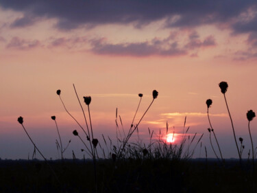 Photography titled "sunset (4)" by Erick Philippe (eikioo), Original Artwork, Digital Photography