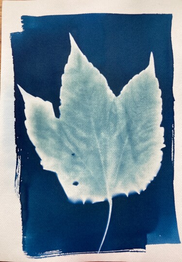 Photographie intitulée "cyanotype feuille d…" par Erick Philippe (eikioo), Œuvre d'art originale, Photographie non manipulée