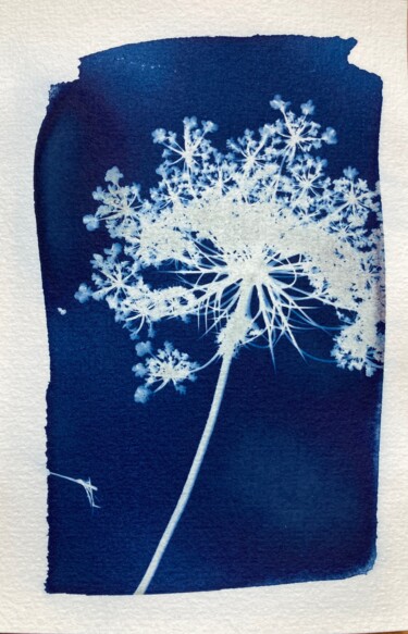Fotografía titulada "cyanotype fleur d'o…" por Erick Philippe (eikioo), Obra de arte original, Fotografía no manipulada