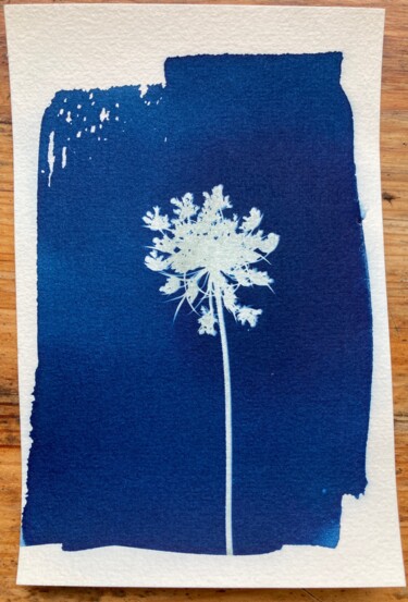Fotografie getiteld "cyanotype fleur d'o…" door Erick Philippe (eikioo), Origineel Kunstwerk, Niet gemanipuleerde fotografie