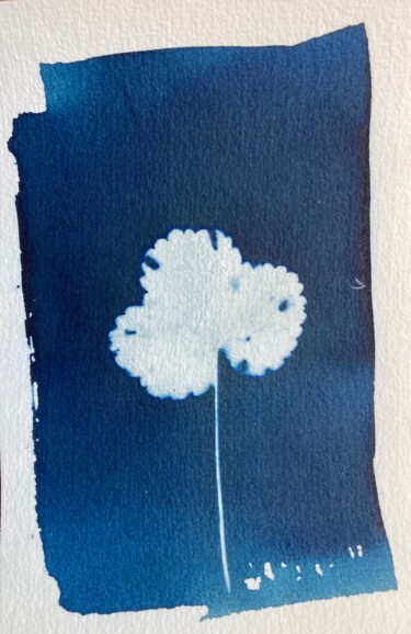 Fotografia zatytułowany „cyanotype feuille” autorstwa Erick Philippe (eikioo), Oryginalna praca, Fotografia nie manipulowana