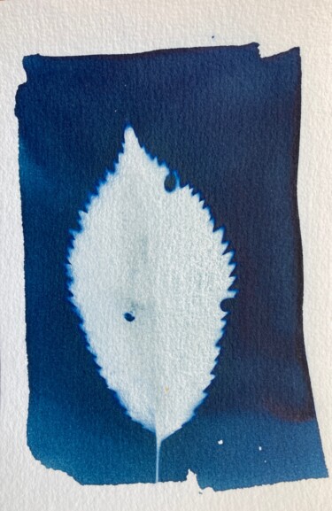 Fotografia intitulada "cyanotype feuille d…" por Erick Philippe (eikioo), Obras de arte originais, Fotografia Não Manipulada