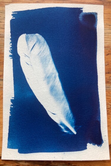 Fotografie mit dem Titel "cyanotype d'une plu…" von Erick Philippe (eikioo), Original-Kunstwerk, Nicht bearbeitete Fotografie