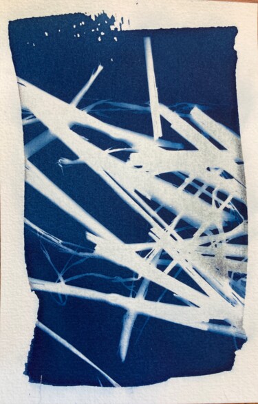 Fotografia intitolato "cyanotype (2)" da Erick Philippe (eikioo), Opera d'arte originale, Fotografia non manipolata
