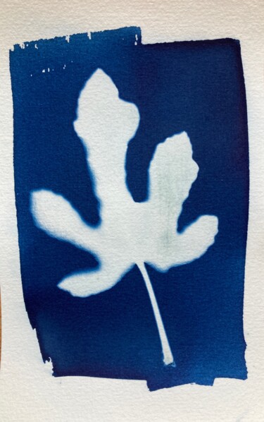 Fotografie mit dem Titel "cyanotype d'une feu…" von Erick Philippe (eikioo), Original-Kunstwerk, Nicht bearbeitete Fotografie