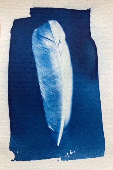 Photography titled "cyanotype d'une plu…" by Erick Philippe (eikioo), Original Artwork, Non Manipulated Photography