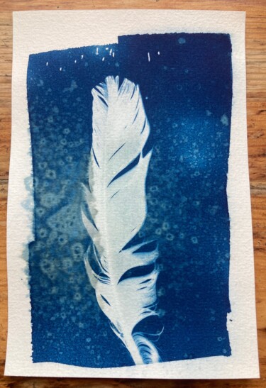 Fotografie mit dem Titel "cyanotype de plume" von Erick Philippe (eikioo), Original-Kunstwerk, Nicht bearbeitete Fotografie