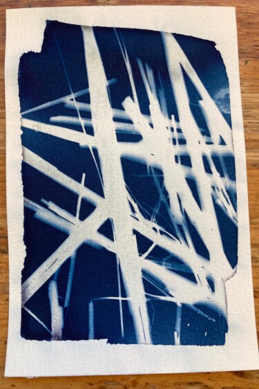 Fotografia intitolato "cyanotype (60)" da Erick Philippe (eikioo), Opera d'arte originale, Fotografia non manipolata