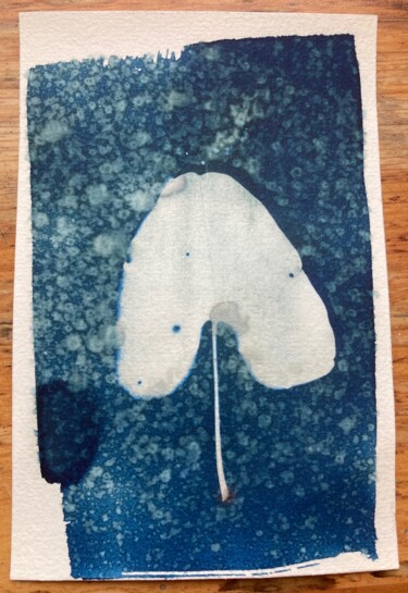 Fotografia intitolato "cyanotype feuille d…" da Erick Philippe (eikioo), Opera d'arte originale, Fotografia non manipolata