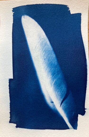 Fotografia zatytułowany „cyanotype (30)” autorstwa Erick Philippe (eikioo), Oryginalna praca, Fotografia nie manipulowana