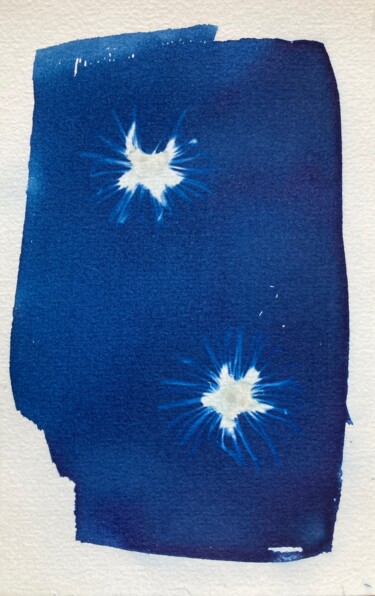 Photography titled "cyanotype de fleurs" by Erick Philippe (eikioo), Original Artwork, Non Manipulated Photography