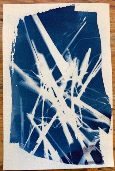 Fotografia intitolato "cyanotype (58)" da Erick Philippe (eikioo), Opera d'arte originale, Fotografia non manipolata