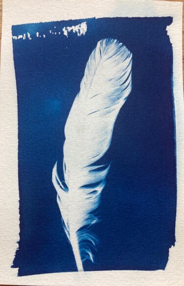 Fotografía titulada "cyanotype plume (05)" por Erick Philippe (eikioo), Obra de arte original, Fotografía no manipulada