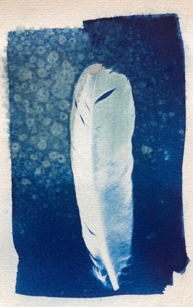 Fotografía titulada "cyanotype de plume…" por Erick Philippe (eikioo), Obra de arte original, Fotografía no manipulada