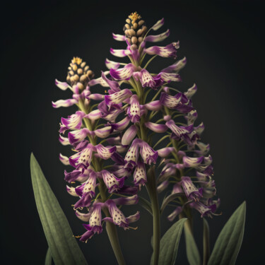 Digitale Kunst mit dem Titel "orchidées (11)" von Erick Philippe (eikioo), Original-Kunstwerk, KI-generiertes Bild