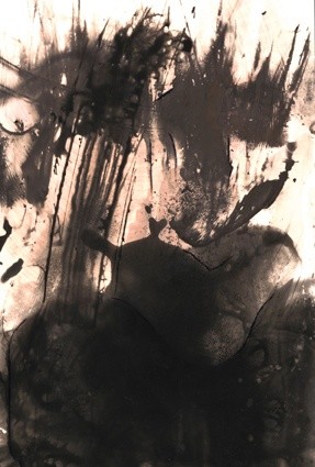 Fotografía titulada "Lavis" por Eric Millet, Obra de arte original