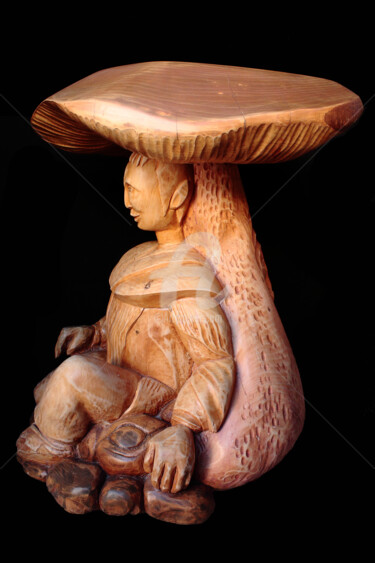 Sculptuur getiteld "Cachette" door Eric Rodriguez Sculpture, Origineel Kunstwerk, Hout