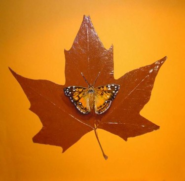 Dessin intitulée "papillon sur feuill…" par Eric Sabatier, Œuvre d'art originale