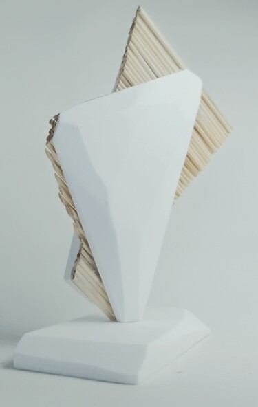 雕塑 标题为“Virgin Amsterdam” 由Erkan Curaoğlu, 原创艺术品, 木