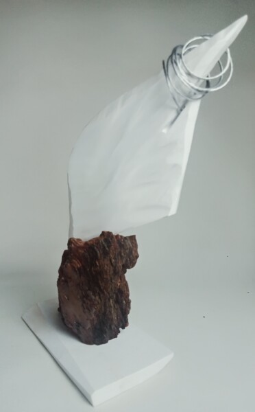 Sculptuur getiteld "İron wing" door Erkan Curaoğlu, Origineel Kunstwerk, Hout