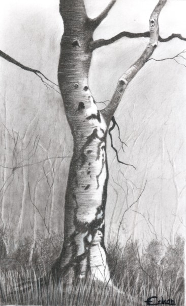 Dibujo titulada "Birch in woods" por Erkan Ertan, Obra de arte original, Carbón