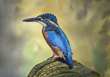 Malerei mit dem Titel "Kingfisher." von Erkin Yılmaz, Original-Kunstwerk, Aquarell
